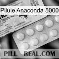 Anaconda 5000 Pill 41